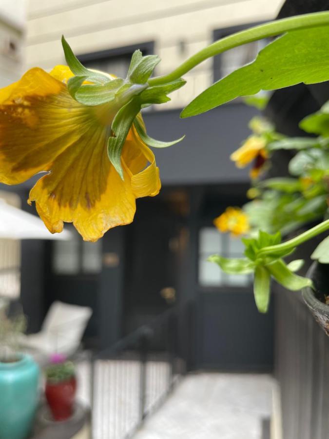 Villa Brown Tel-Aviv, A Member Of Brown Hotels Buitenkant foto